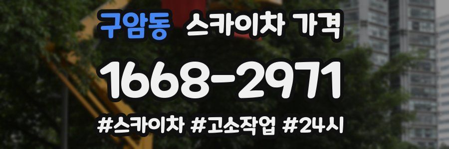 구암동 스카이차 가격