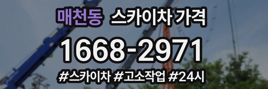 매천동 스카이차 가격