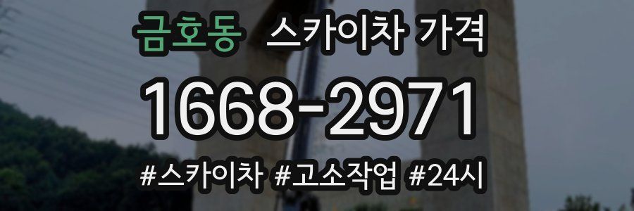 금호동 스카이차 가격