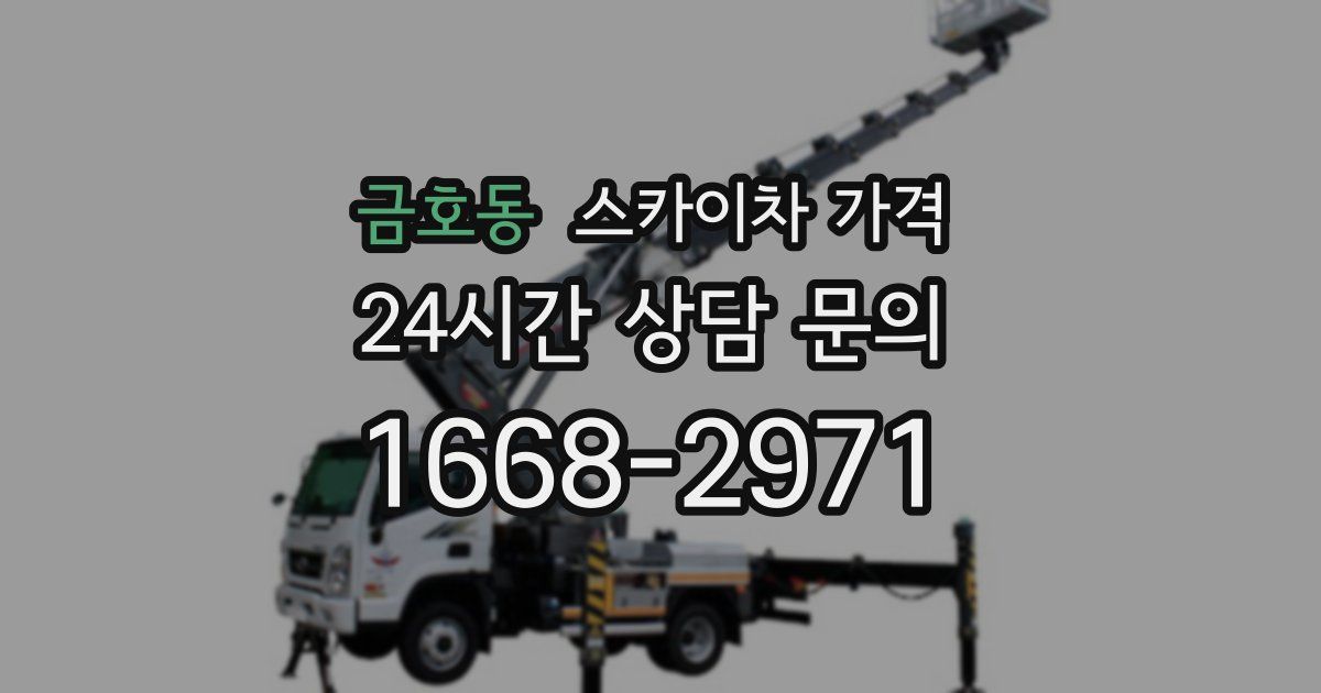 금호동 스카이차 가격