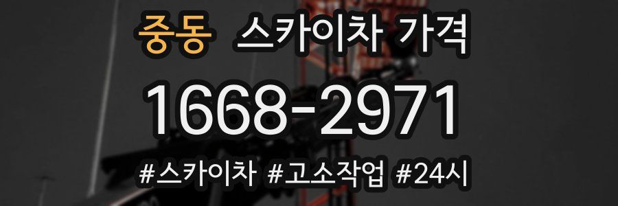 중동 스카이차 가격