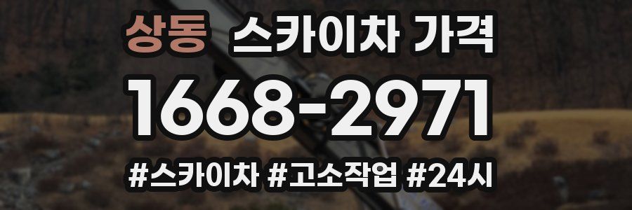 상동 스카이차 가격