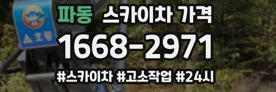 파동 스카이차 가격