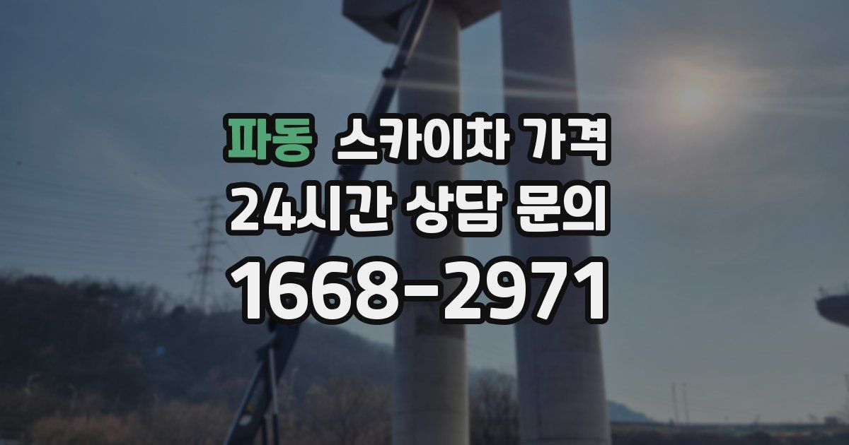 파동 스카이차 가격