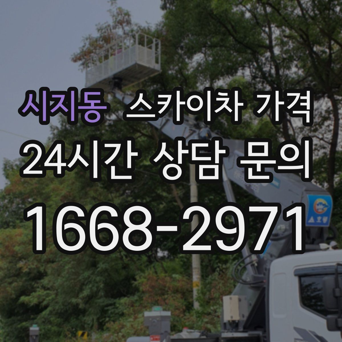 시지동 스카이차 가격