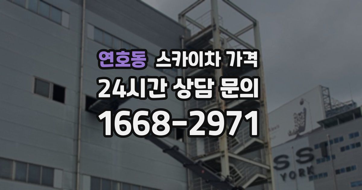 연호동 스카이차 가격