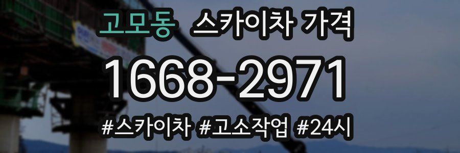 고모동 스카이차 가격