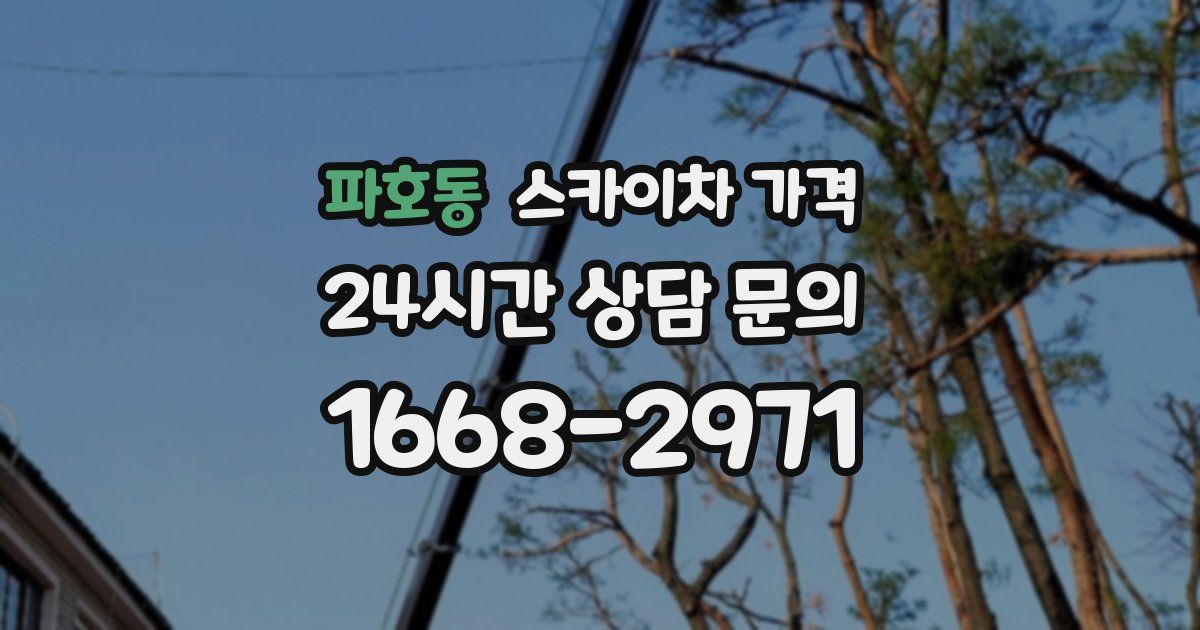 파호동 스카이차 가격