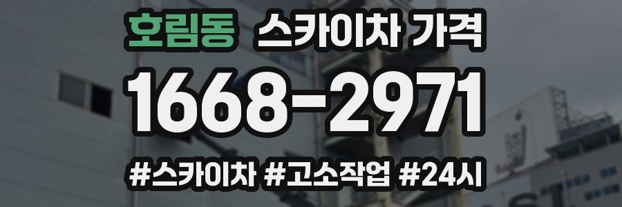 호림동 스카이차 가격