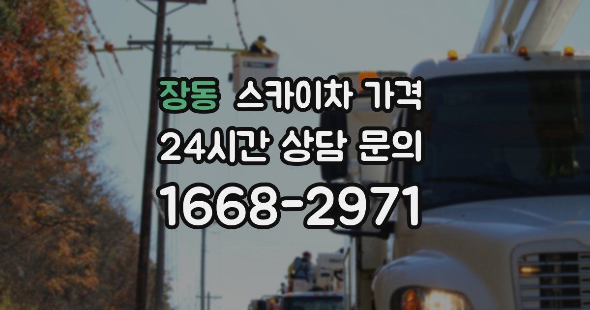 장동 스카이차 가격