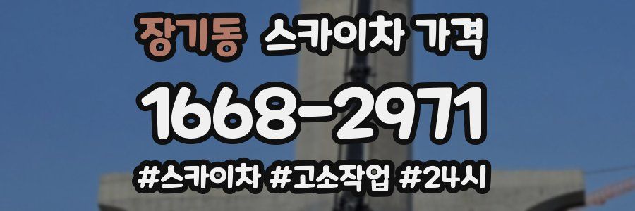 장기동 스카이차 가격