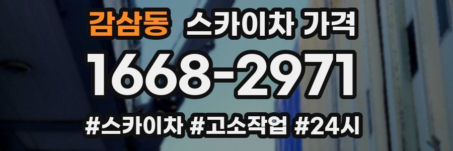 감삼동 스카이차 가격