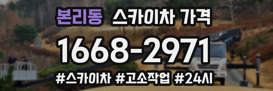 본리동 스카이차 가격