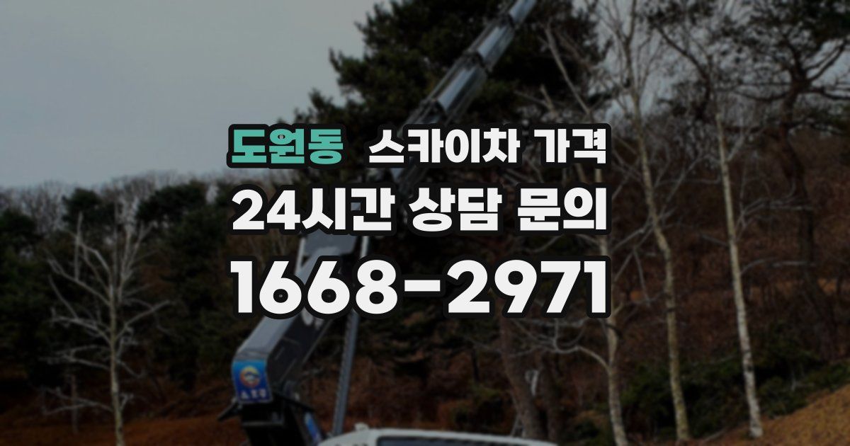 도원동 스카이차 가격