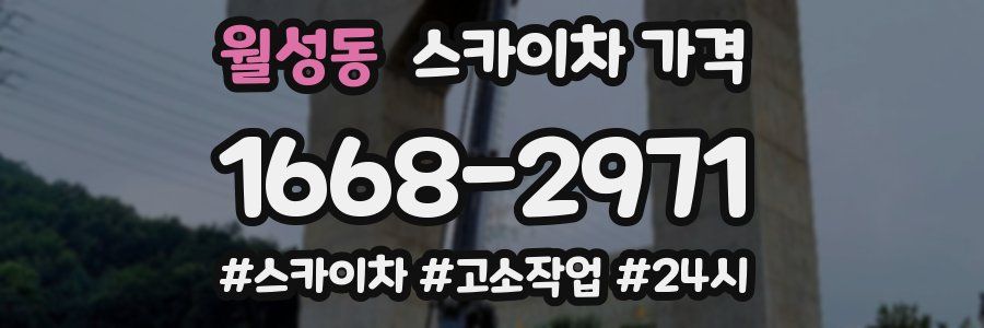 월성동 스카이차 가격