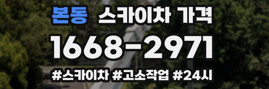 본동 스카이차 가격