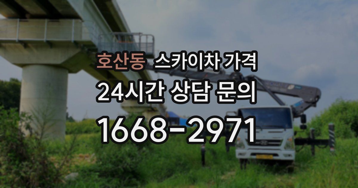 호산동 스카이차 가격