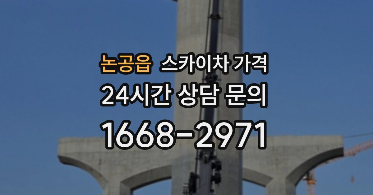 논공읍 스카이차 가격