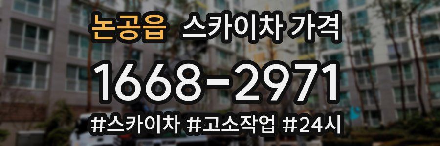 논공읍 스카이차 가격