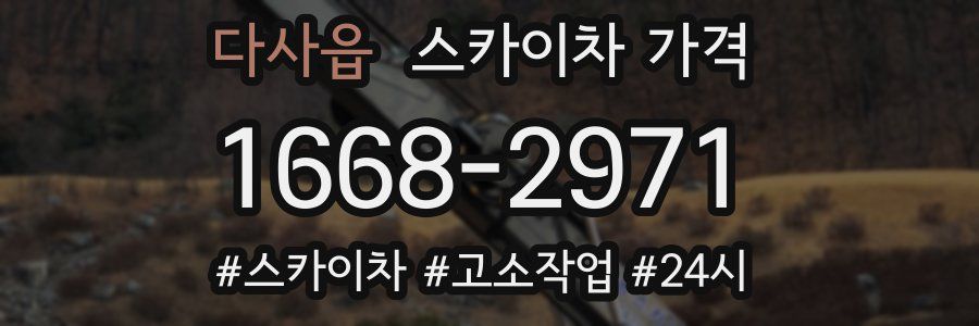 다사읍 스카이차 가격