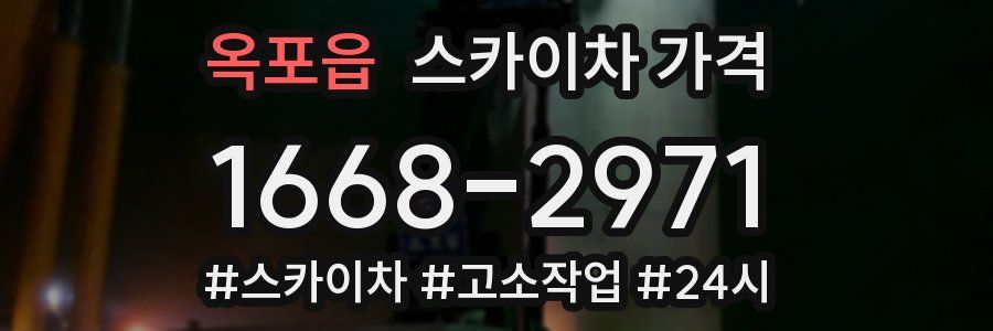 옥포읍 스카이차 가격