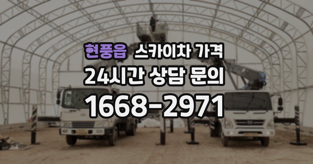 현풍읍 스카이차 가격