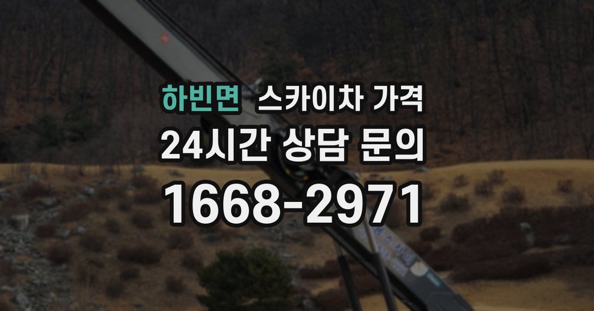 하빈면 스카이차 가격