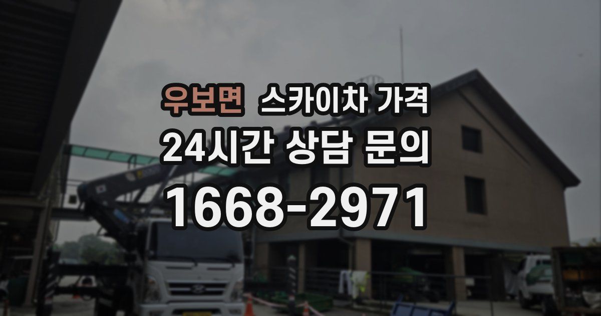 우보면 스카이차 가격