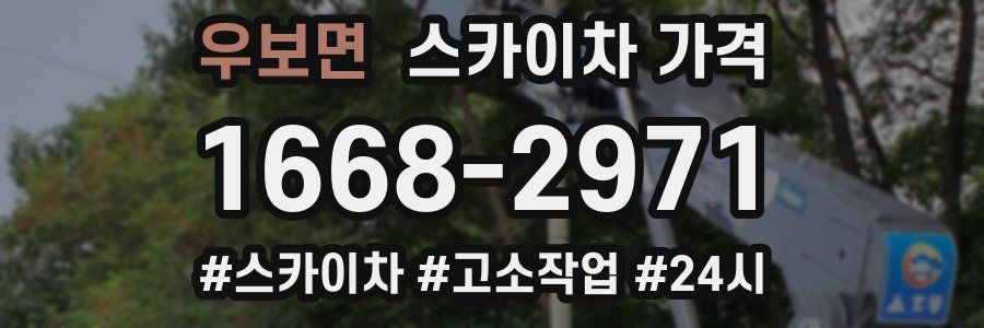 우보면 스카이차 가격