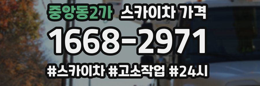 중앙동2가 스카이차 가격