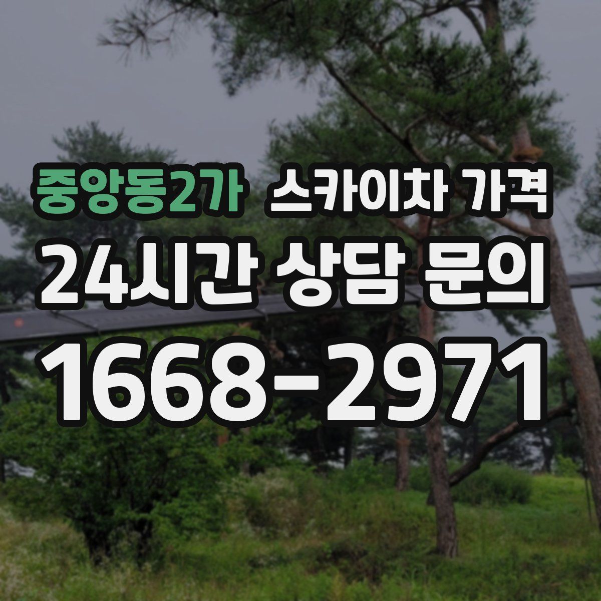 중앙동2가 스카이차 가격