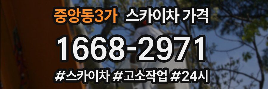 중앙동3가 스카이차 가격