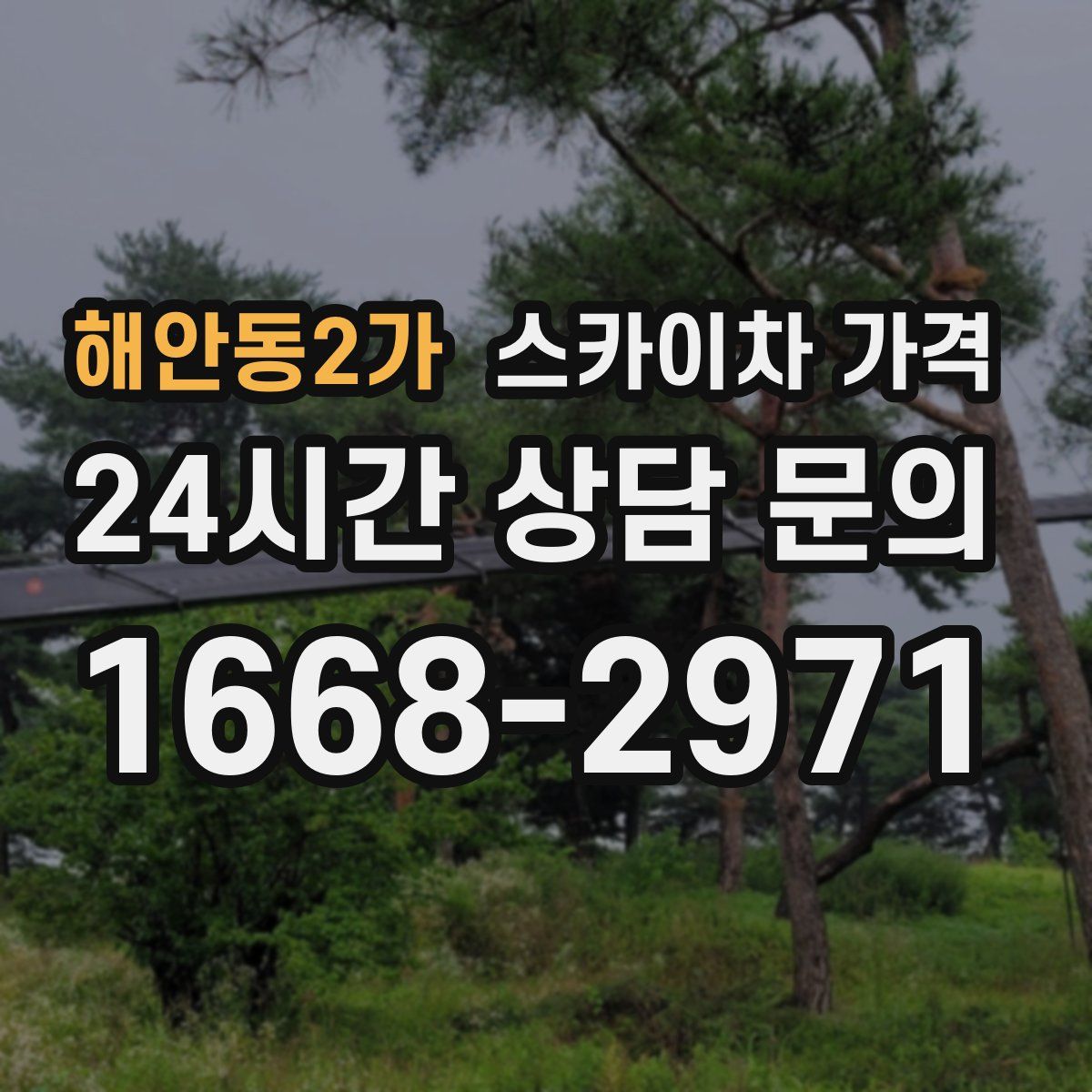 해안동2가 스카이차 가격