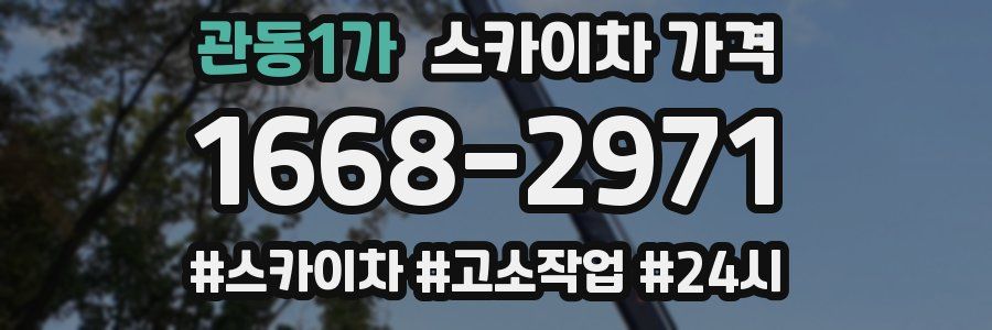 관동1가 스카이차 가격