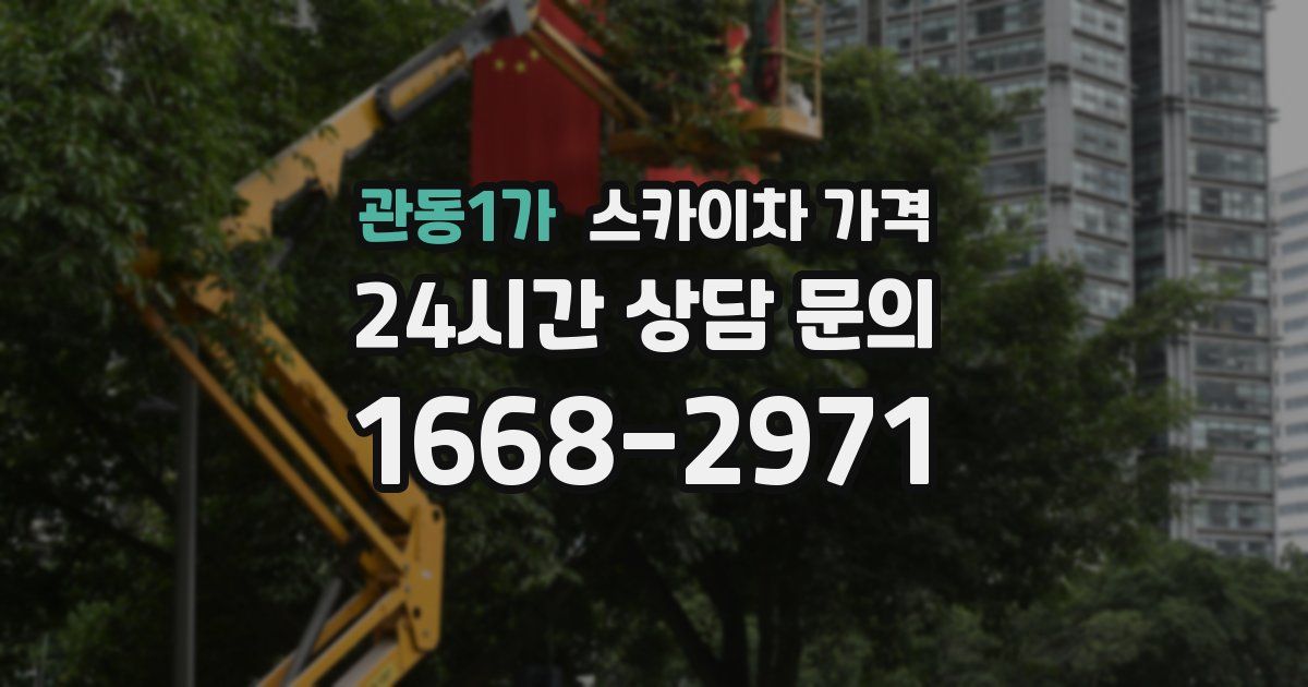 관동1가 스카이차 가격