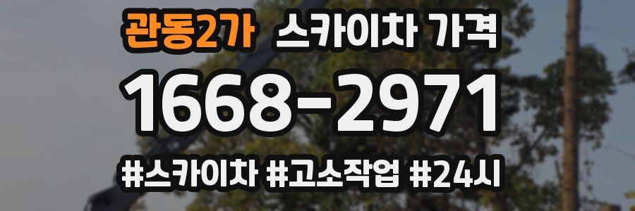 관동2가 스카이차 가격