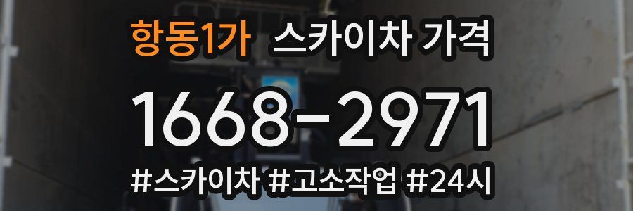 항동1가 스카이차 가격