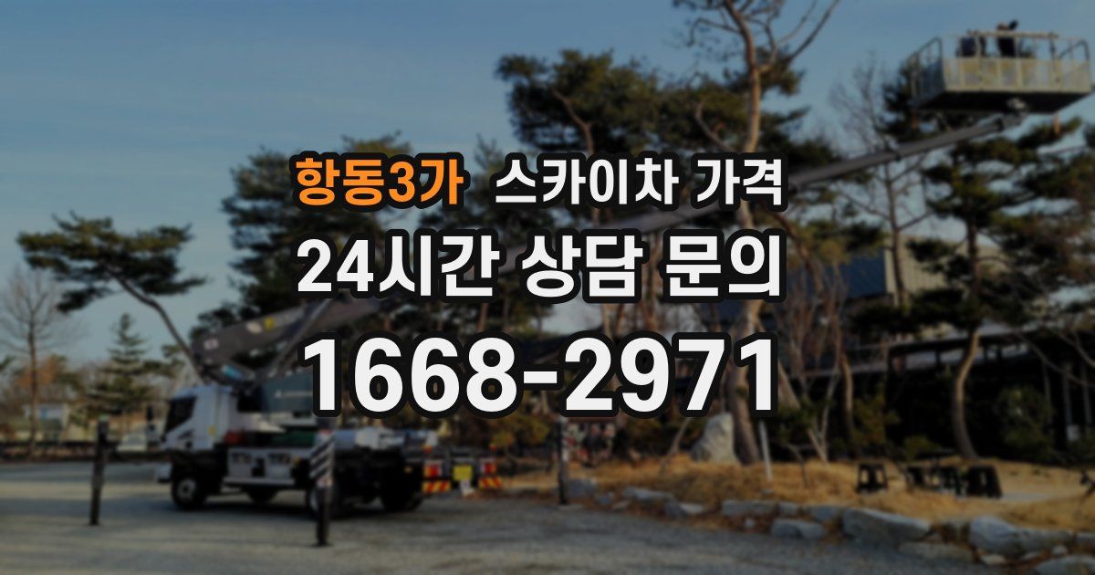 항동3가 스카이차 가격