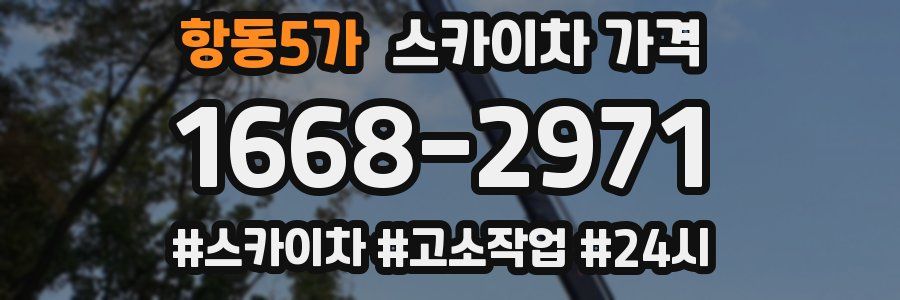 항동5가 스카이차 가격