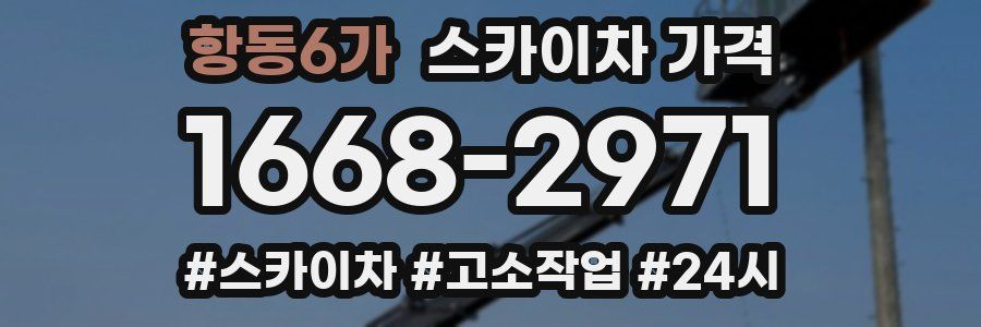 항동6가 스카이차 가격