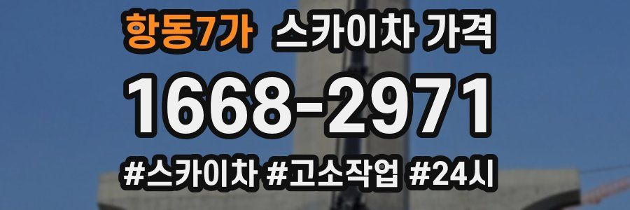 항동7가 스카이차 가격