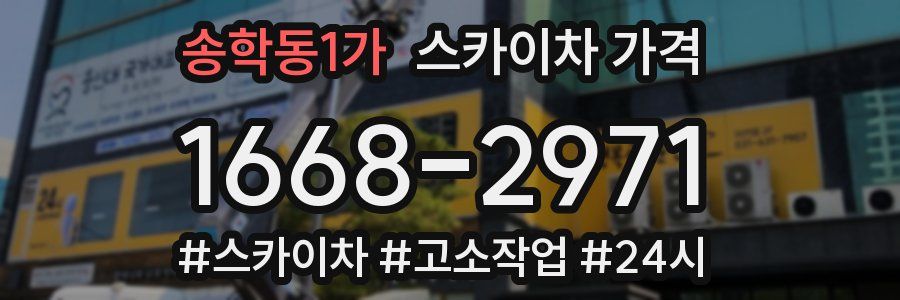 송학동1가 스카이차 가격