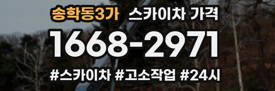 송학동3가 스카이차 가격