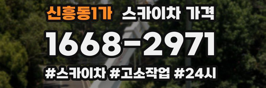 신흥동1가 스카이차 가격