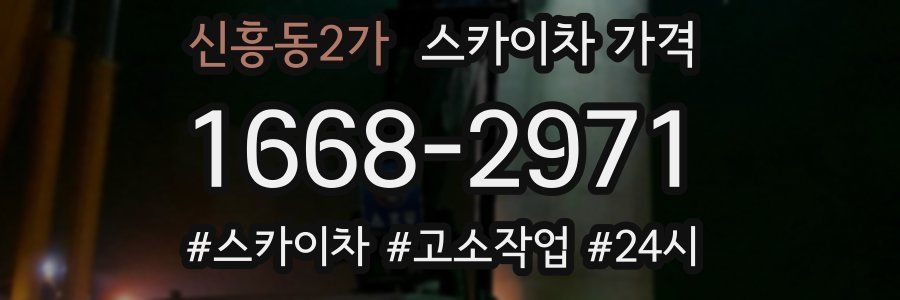 신흥동2가 스카이차 가격