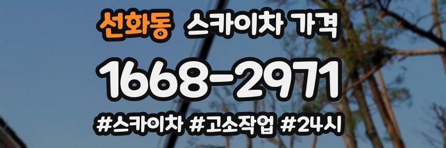 선화동 스카이차 가격