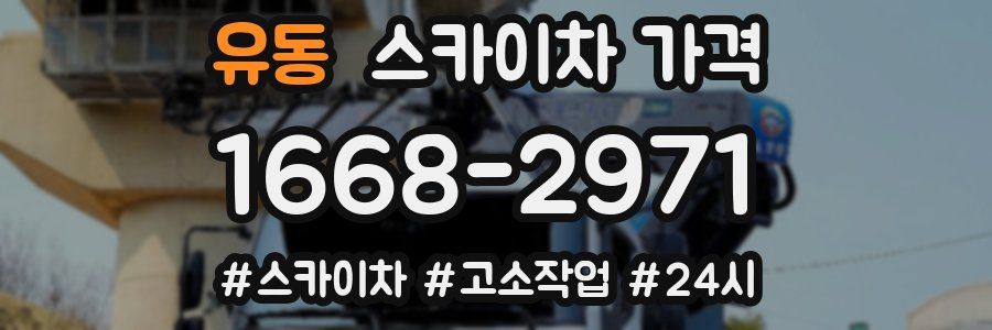 유동 스카이차 가격