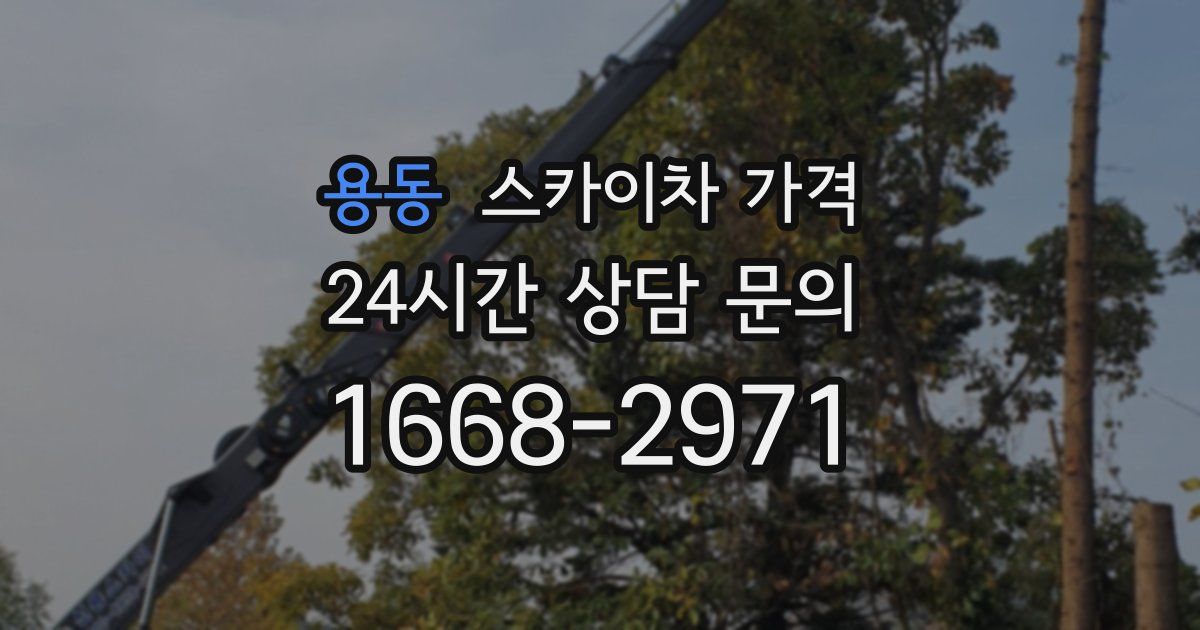 용동 스카이차 가격