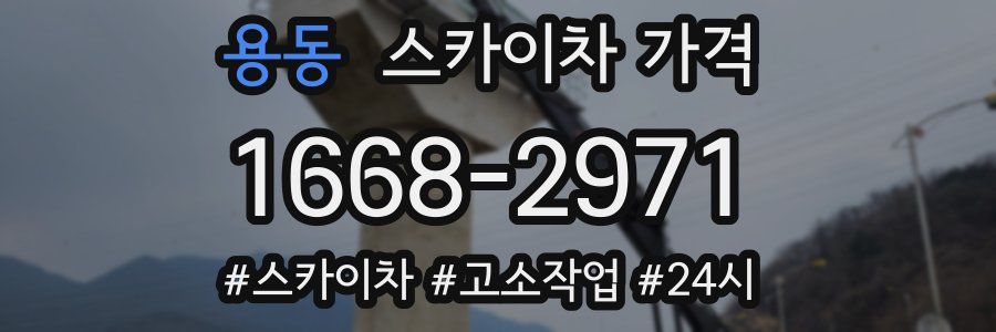 용동 스카이차 가격