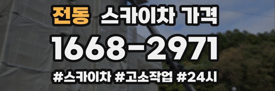 전동 스카이차 가격